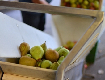 Förderband mit Obst
