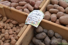 Kartoffeln